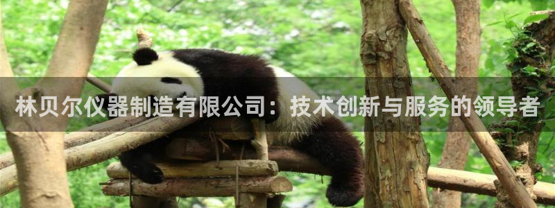 天宏娱乐i 判官：林贝尔仪器制造有限公司：技术创新与服务的领