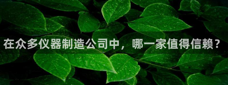 天宏娱乐平台稳么：在众多仪器制造公司中，哪一家值得信赖？