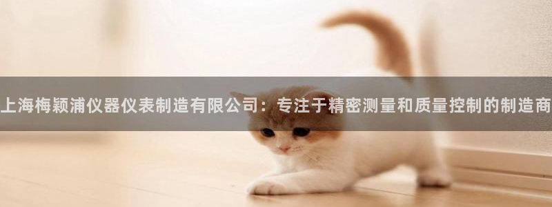 天宏娱乐直播怎么样：上海梅颖浦仪器仪表制造有限公司：专注于精