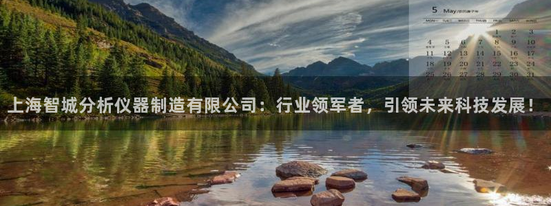 天宏娱乐家：上海智城分析仪器制造有限公司：行业领军者，引领未