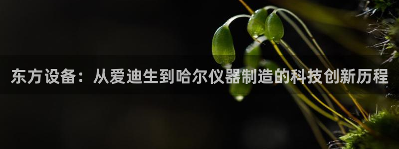 天宏娱乐直播在线观看高清：东方设备：从爱迪生到哈尔仪器制造的