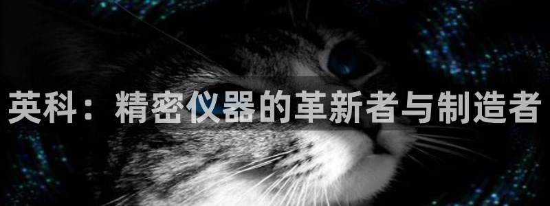 天亿娱乐宏发团队：英科：精密仪器的革新者与制造者