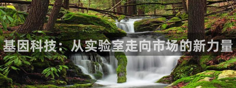 天宏娱乐老秦：基因科技：从实验室走向市场的新力量